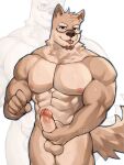 abs anthro biceps black_eyes brown_body brown_fur canid canine canis eyewear eyewear_on_head fur genitals glasses glasses_on_head hi_res humanoid_genitalia humanoid_penis male mammal masturbation muscular muscular_anthro muscular_male nude pecs penis solo spamzilla tongue tongue_out wolf