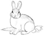 ambiguous_gender carrot creepypasta feral food fur internet_history lagomorph leporid low_res malen&#039;kiy_prints_(y2k) mammal meme plant rabbit simple_background solo traditional_media_(artwork) vegetable white_background white_body white_fur