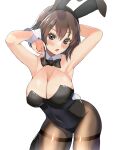  1girl :o alternate_costume animal_ears armpits arms_up black_leotard blaze_(artist) blush breasts brown_hair brown_pantyhose cleavage covered_navel fake_animal_ears girls_und_panzer grey_eyes highres large_breasts leaning_forward leotard looking_at_viewer nishizumi_maho open_mouth pantyhose rabbit_ears rabbit_tail short_hair simple_background solo tail thighband_pantyhose white_background wrist_cuffs 