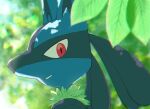  commentary_request day highres leaf looking_at_viewer lucario outdoors parted_lips pokemon pokemon_(creature) portrait red_eyes smile solo sora_(sora610) twitter_username 