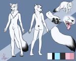  anthro canid canine female feral fox humanoid mammal solo 
