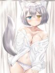  1girl animal_ear_fluff animal_ears ashitaba_kemo backlighting bangs blue_eyes blush breasts cleavage closed_mouth collared_shirt commentary_request curtains dress_shirt grey_hair groin hair_between_eyes heterochromia highres long_sleeves looking_at_viewer medium_breasts navel no_bra off_shoulder open_clothes open_shirt panties shirt sleeves_past_wrists solo sunlight tail thigh_gap underwear white_panties white_shirt window yellow_eyes 