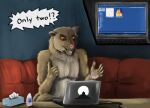  absurd_res annoyed anthro computer controversial_logos digital_media_(artwork) digital_painting_(artwork) e621 furniture hi_res invalid_tag male mammal masturbation olingo pornography procyonid red sofa solo yenocwolf 