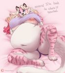 anthro belly big_belly big_breasts blonde_hair blue_eyes breasts clothing dialogue felid female fur hair hi_res lying mammal marzipan_(spottedtigress) nipple_outline nipples on_back overweight overweight_female pantherine panties pink_body pink_fur shirt_tug solo spottedtigress spread_legs spreading tiger underwear white_body white_fur 