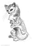  ambiguous_gender black_and_white claws feral gulonine j._c._amberlyn mammal marten monochrome mustelid musteline pawpads paws pine_marten pose sketch smile solo traditional_media_(artwork) 