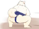 2024 anthro asian_clothing butt canid canine canis clothing domestic_dog east_asian_clothing hi_res inunoshippo japanese_clothing kemono male mammal mawashi overweight overweight_male solo sumo sumo_wrestler