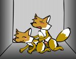 :3 animal_genitalia animal_penis animated anthro blush canid canine canine_genitalia canine_penis doggystyle duo female fox from_behind_position genitals hand_on_butt happy male male/female mammal nchproductions penis sex