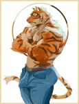  absurd_res bulge clothed clothing felid frown hi_res hydaus lin_hu male mammal nekojishi pantherine serious_face simple_background solo studio_klondike tiger topless video_games visual_novel white_background 