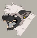  black_body black_ears black_eyebrows black_fur black_inner_ear black_nose canid ear_piercing eyebrows fangs fur glistening glistening_eyes grey_background grey_body grey_fur grey_inner_ear grey_tongue hair hi_res male mammal messy_hair open_mouth piercing princely_(princelykaden) princelykaden short_hair simple_background solo tan_sclera tan_teeth tongue white_body white_fur white_hair yellow_ear_piercing 