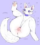  &lt;3 absurd_res animal_crossing anthro anus blue_eyes blush breasts butt canid canine canis collar female fur genitals hi_res lying mammal nintendo nipples nude on_back pukemilked pussy smile solo text video_games white_body white_fur whitney_(animal_crossing) wolf 