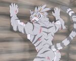  anthro felid hi_res male mammal markings muscular muscular_anthro muscular_male nimbus_(world_flipper) nude pantherine scar solo tiger world_flipper 