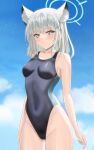  animal_ear_fluff animal_ears bangs black_swimsuit blue_archive blue_eyes blue_sky breasts cloud competition_swimsuit covered_navel cowboy_shot cross_hair_ornament extra_ears grey_hair hair_ornament halo highleg highleg_swimsuit highres higofushi medium_breasts medium_hair mismatched_pupils multicolored_clothes multicolored_swimsuit one-piece_swimsuit shiroko_(blue_archive) shiroko_(swimsuit)_(blue_archive) sky swimsuit 