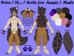  4:3 absurd_res anthro australian canid canine canis domestic_dog english_text facial_hair fluffy fox fur hi_res hybrid long_fur mammal model_sheet raevi10 text url 