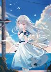  1girl asumi_sena bare_shoulders blue_dress blue_sailor_collar blue_sky braid closed_mouth cloud commentary_request crown_braid day detached_sleeves dress from_side grey_hair highres horizon iren_lovel long_hair looking_at_viewer looking_to_the_side multicolored_hair ocean official_art outdoors pink_hair pleated_dress power_lines puffy_short_sleeves puffy_sleeves red_eyes sailor_collar sailor_dress short_sleeves sky sleeveless sleeveless_dress smile solo streaked_hair utility_pole very_long_hair vspo! water white_dress white_sleeves 