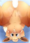  anthro breasts brown_body duo eevee female genitals hi_res hinata_sakamoto looking_at_viewer male male/female nintendo nipples penis pok&eacute;mon pok&eacute;mon_(species) pok&eacute;morph pussy upside_down video_games 