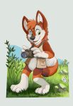  anthro camera canid canine clothing fox grass hi_res male mammal pandapaco plant rock solo topwear vest 