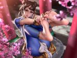  1girl barefoot blue_pants bracelet branch brown_hair cherry_blossoms chinese_clothes chun-li double_bun feet foot_focus hair_bun hair_ribbon holding_own_foot jewelry legs_up liang_xing light_blush pants petals ribbon sitting smile soles solo street_fighter street_fighter_6 toes 