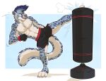  abs absurd_res anthro biceps big_arms big_feet big_legs big_tail blue_body blue_fur bottomwear chest_fur clothing duskysnep facial_tuft feet felid fight fighting_pose fluffy_ears fur gloves handwear hi_res kickboxing kicking_object male mammal muscular muscular_anthro muscular_male pantherine pink_nose pose rosettes shorts snow_leopard temiree white_body white_fur 
