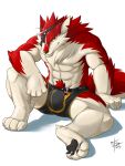  (takemoto 2012 4_toes 5_fingers abs anthro arashi arashisimple_background athletic barefoot biceps brown_nose bulge canid canine canis claws clothed clothing eye_patch eyewear fur hair hi_res looking_at_viewer male mammal muscular muscular_male pecs pose red_fur rex sitting solo takemoto_arashi toe_claws toes topless tuft underwear white_fur wolf yellow_eyes 