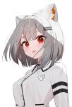  1girl animal_ear_fluff animal_ears black_trim blush bob_cut breasts cat_ears collared_shirt colored_inner_animal_ears commentary_request extra_ears fang firehippo grey_hair hair_ornament hairclip highres looking_at_viewer looking_down looking_to_the_side maro_(neneko_mashiro) medium_breasts multicolored_hair neneko_mashiro open_mouth red_eyes red_hair shirt short_hair simple_background skin_fang smile solo stellive streaked_hair thick_eyelashes upper_body virtual_youtuber white_background white_shirt 