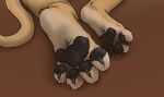  4_toes anthro claws curling_toes feet felid foot_focus lion male mammal midnightlion pantherine pawpads paws simple_background solo tail toe_claws toes zenthetiger 