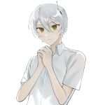  1boy closed_mouth collared_shirt commentary eyebrows_hidden_by_hair hair_between_eyes highres kyoko_(akakikyoko) looking_at_viewer male_focus original own_hands_together shirt short_hair simple_background smile solo upper_body white_background white_shirt yellow_eyes 