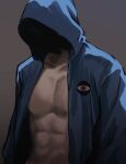  1boy blue_jacket collarbone eye_print gradient gradient_background grey_background highres hood hood_up jacket male_focus muscular muscular_male open_clothes open_jacket original porary shaded_face solo upper_body 