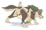  balls bestiality blush breath_of_the_wild canid canine canis duo feet female female_on_feral feral gashamon_(artist) genitals human human_on_feral interspecies knot link_(wolf_form) male male/female mammal nintendo princess_zelda the_legend_of_zelda tongue tongue_out video_games wolf 