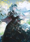  1girl animal bangs bird bird_on_hand black_dress black_hairband blue_bird blue_cape blunt_bangs cape center_frills closed_mouth commentary dress fire_emblem fire_emblem:_three_houses fire_emblem_warriors:_three_hopes floating_hair frills grey_eyes hairband highres lace_hairband leaf long_hair long_sleeves looking_at_another looking_away marianne_von_edmund mountain mountainous_horizon nature neriash outdoors red_cape smile tree two-tone_cape wavy_hair 