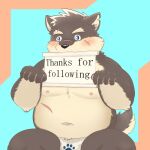  anthro asian_clothing begging begging_pose belly blush canid canine canis clothing domestic_dog east_asian_clothing eyebrows fundoshi fur fy_bigcat grey_body grey_fur hi_res japanese_clothing lifewonders male mammal moritaka musclegut nipples pecs pose solo thick_eyebrows tokyo_afterschool_summoners underwear video_games 