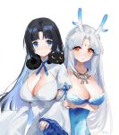  2girls absurdres bangs black_hair blue_dress blue_eyes blue_nails blue_ribbon breasts cat center_opening cleavage collarbone commentary_request covered_navel dragon_girl dragon_horns dress forehead highres holding_another&#039;s_arm horns jewelry keruitemonu large_breasts long_hair long_sleeves looking_at_another multicolored_eyes multiple_girls necklace original parted_bangs red_eyes ribbon simple_background symbol-shaped_pupils white_background white_dress white_hair wide_sleeves yellow_eyes yuri 