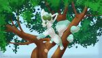  alolan_form alolan_vulpix bow_(disambiguation) coffeefly female hi_res juniper_(coffeefly) nintendo outside plant pok&eacute;mon pok&eacute;mon_(species) regional_form_(pok&eacute;mon) sky solo tree video_games 