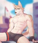  abs anthro canid claws clothing fingerless_gloves fur gloves handwear hi_res jrjresq looking_away male mammal muscular muscular_anthro muscular_male sitting smile solo teeth underwear white_body white_fur yellow_body yellow_fur 