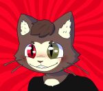  anthro black_clothing black_shirt black_topwear blush brown_body brown_fur chest_tuft clothing domestic_cat felid feline felis fur heterochromia hi_res inner_ear_fluff kralex male mammal mischievous_smile shirt topwear tuft undnift whiskers 