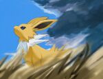  animal_focus blue_eyes blue_sky blurry blurry_foreground closed_mouth cloud commentary day english_commentary from_side fur_collar grass highres horezai jolteon looking_up no_humans outdoors pokemon pokemon_(creature) profile sitting sky solo 