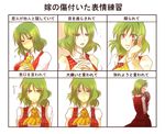  1girl abuse ascot bad_end bad_id bad_pixiv_id blood blush bow bruise chart decapitation green_hair hand_on_own_face hands_clasped injury kazami_yuuka long_hair mkairou own_hands_together plaid plaid_vest red_eyes severed_head short_hair surprised sweat sweatdrop touhou translated upper_body vest yandere 