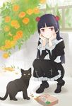  bad_id bad_pixiv_id bangs black_hair blunt_bangs cat cat_food dress flower gokou_ruri gothic_lolita hairband kaya_(c14) lolita_fashion long_hair mole mole_under_eye ore_no_imouto_ga_konna_ni_kawaii_wake_ga_nai pantyhose red_eyes solo squatting 