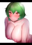  1girl bangs blush breasts closed_mouth commentary_request completely_nude green_hair hair_between_eyes huge_breasts kazami_yuuka letterboxed looking_at_viewer nipples nude red_eyes sadahiro_(chicken_nugget_gyuuniku_aji) shiny shiny_skin short_hair simple_background smile solo touhou upper_body white_background 
