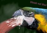  avian beak beak_fetish beak_play beak_sex beakjob bird bodily_fluids cum dinokvulthur duo excessive_cum fellatio feral genital_fluids hi_res male male/male oral parrot penile sex 