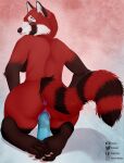  ailurid anthro dildo dildo_in_pussy dildo_insertion female hi_res kanou mammal penetration pinup pose red_panda sex_toy sex_toy_in_pussy sex_toy_insertion solo vaginal vaginal_penetration 