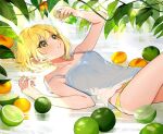  1girl blonde_hair bottle camisole collarbone food fruit green_eyes idolmaster idolmaster_cinderella_girls knee_up lemon lime_(fruit) lime_slice looking_away looking_up lying miyamoto_frederica on_back panties perfume_(cosmetics) perfume_bottle short_hair solo strap_slip underwear underwear_only white_camisole yellow_panties yuu_(higashi_no_penguin) 