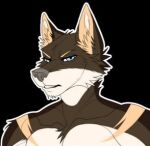  angry anthro blue_eyes brown_eartips canid canine canis ears_up fur grey_nose hazakyaracely low_res male mammal scar solo wolf 