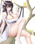  1girl absurdly_long_hair absurdres ass azur_lane between_breasts black_hair breasts bug butterfly butterfly_on_hand chinese_commentary cleavage detached_collar dress flower foot_out_of_frame forest green_butterfly green_eyes hair_flower hair_ornament highres horns huge_breasts in_tree indomitable_(azur_lane) laochen long_hair looking_at_viewer manjuu_(azur_lane) nature simple_background strap_between_breasts strapless strapless_dress thighhighs tree very_long_hair white_background white_dress white_flower white_garter_straps white_thighhighs 