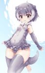  1girl :3 animal_ears bare_shoulders blush elbow_gloves fingerless_gloves fur_collar gloves grey_eyes grey_gloves grey_hair grey_swimsuit grey_thighhighs highres kemono_friends kolshica multicolored_hair one-piece_swimsuit otter_ears otter_girl otter_tail short_hair sleeveless small-clawed_otter_(kemono_friends) solo swimsuit tail thighhighs toeless_legwear two-tone_hair two-tone_swimsuit white_fur white_hair white_swimsuit 