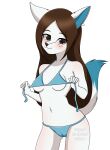  anthro artist_s0ft bikini bikini_lift bikini_pull blush canid canine clothed clothing clothing_pull digital_drawing_(artwork) digital_media_(artwork) female fur hair hi_res looking_at_viewer mammal solo swimwear swimwear_pull 