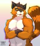  animal_humanoid anthro belly big_breasts breasts brown_hair crossed_arms demisexual_pride_colors hair hi_res humanoid krepht lgbt_pride male male/male mammal mammal_humanoid muscular orange_body pride_colors procyonid procyonid_humanoid raccoon raccoon_humanoid solo yellow_eyes 