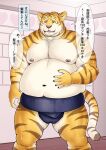  2022 absurd_res anthro asian_clothing belly big_belly bodily_fluids clothing dialogue east_asian_clothing felid hi_res humanoid_hands inside japanese_clothing japanese_text kemono male mammal mawashi meguru_salmon moobs navel nipples overweight overweight_male pantherine pink_nose solo sweat text tiger yellow_body yellow_eyes 