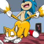  amy_rose blue_body bodily_fluids butt canid canine cum cum_in_ass cum_inside doggystyle duo eulipotyphlan fox from_behind_position genital_fluids hedgehog male male/male mammal miles_prower screaming sega sex sonic_the_hedgehog sonic_the_hedgehog_(series) spanky15 tail_pull yellow_body 