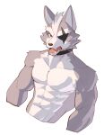  abs anthro canid canine canis choker eye_patch eyewear fur grey_body grey_fur hi_res jewelry jrjresq looking_at_viewer male mammal multicolored_body multicolored_fur muscular muscular_anthro muscular_male necklace nintendo open_mouth red_eyes simple_background solo star_fox two_tone_body two_tone_fur video_games white_body white_fur wolf wolf_o&#039;donnell 