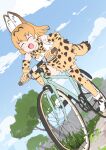  animal_ears bare_shoulders bicycle blonde_hair blush bow bowtie brown_hair cat_ears cat_girl cat_tail closed_eyes elbow_gloves gloves ground_vehicle high-waist_skirt kemono_friends multicolored_hair open_mouth print_bow print_bowtie print_gloves print_skirt print_thighhighs riding riding_bicycle serval_(kemono_friends) serval_print shirt short_hair skirt sleeveless sweatdrop tail thighhighs white_shirt yumeumi_sousaku zettai_ryouiki 